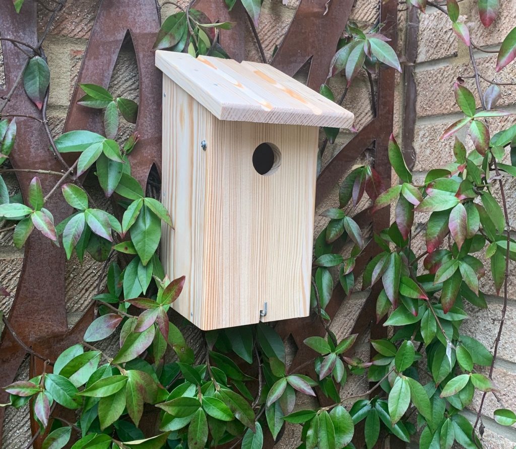 Bird box hanging on trellis surrounded by leaves.