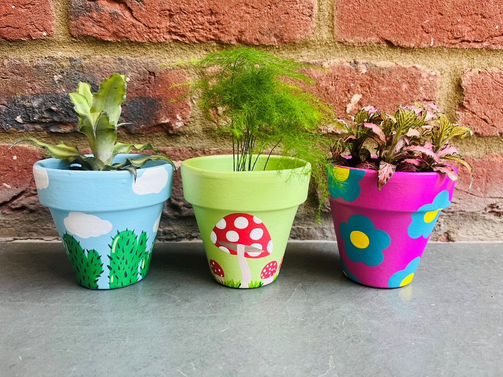 Three hand painted plant pots. One has green cacti on a blue sky background, one has red and white spotted toadstools on a green background, one has blue flowers on a pink background. All contain houseplants.