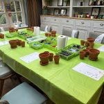 Table set up fro corporate plant pot painting workshop. Table is covered with a green table covers and is set with terracotta plant pots, baskets of pens, information sheets and kitchen roll .