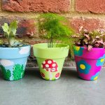 Finished pots painted on plant pot painting workshop. Designs feature cacti on a blue sky, toadstools on a green background and blue flowers on a pink background. Pots contain houseplants.