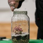 Close up of hand pouring gravel into terrarium.