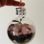 Close up of hand holding terrarium bauble.