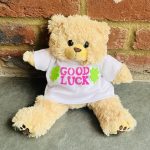 Teddy bear in "Good Luck" T shirt made in charity team building activity.