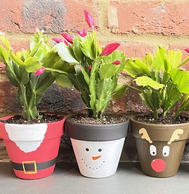 Plant pots painted with Santa, snowman and reindeer design in corporate Christmas plant pot painting workshop. Each pot holds a Christmas cactus.