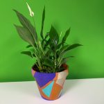 Plant pot painted in corporate plant pot painting workshop, painted in geometric design holding a peace lily plant.